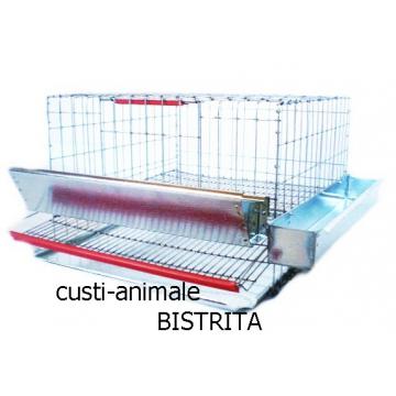 Cusca pentru prepelite 40 cm (15 capete)