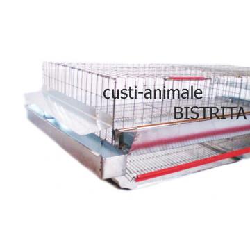 Cusca prepelite nivel
