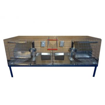 Custi iepuri rase mari si uriasi 200 cm