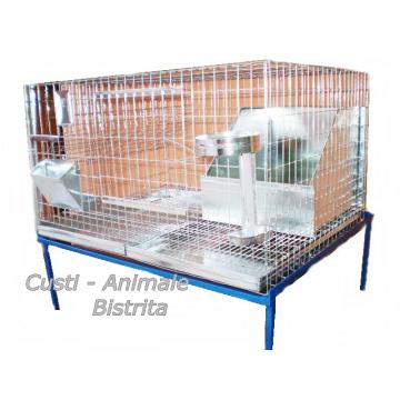 Custi iepuri reproductie 80 cm