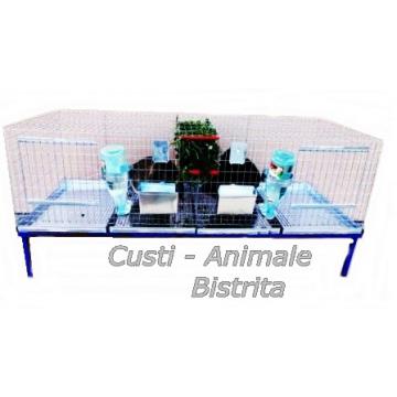 Custi iepuri tineret / 160 cm 2C