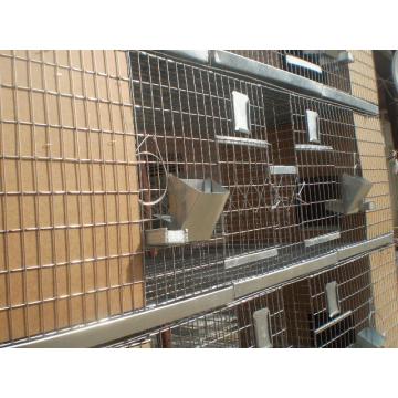 Module de custi pentru iepuri