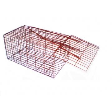 Capcana rozatoare vopsita