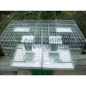 Cusca chinchilla doua compartimente