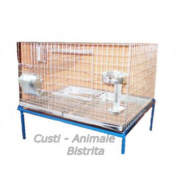 Cusca iepuri tineret 100 cm