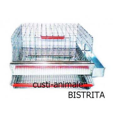 Cusca prepelite 25 bucati