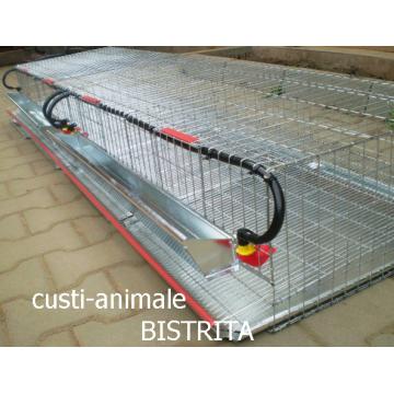 Cusca prepelite 4C/200 cm 100-120 buc.