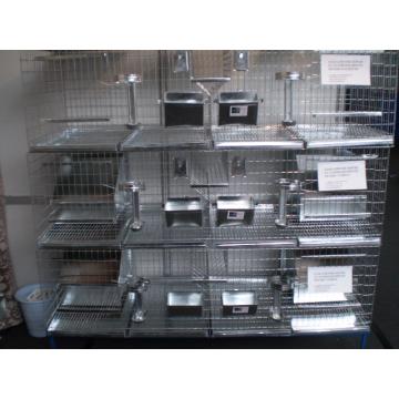 Cusca reproductie cu doua compartimente