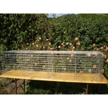 Custi pentru expozitii