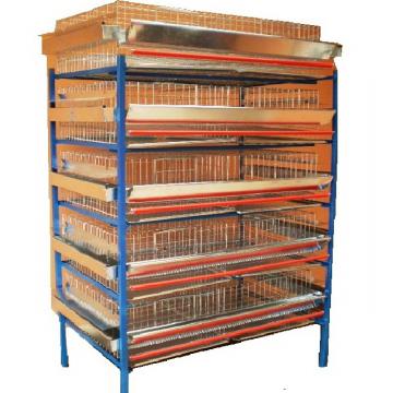 Rastel 5 nivele custi prepelite/120 cm