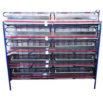 Rastel 5 nivele custi prepelite 200 cm
