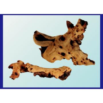 Decor lemn pentru acvariu Mopani Wood