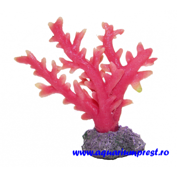 Decoratiune acvariu Y71