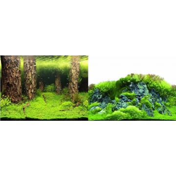 Fundal acvariu 2 fete 100cm X 1metru PS86-87