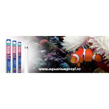 Lampa acvarii Arcadia Marine Blue 420 Actinic Lamp T8 18W
