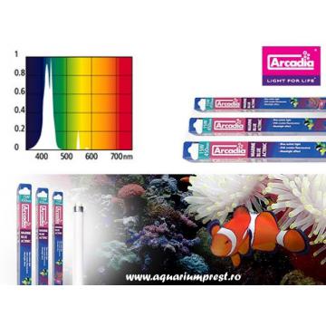 Lampa acvariu Marine Blue 420 Actinic Lamp T8 15W