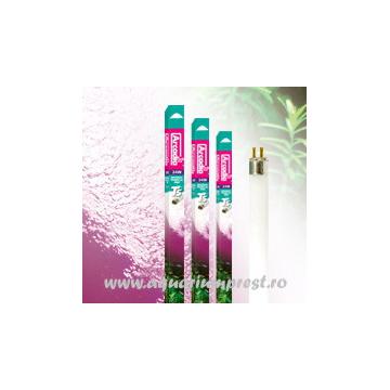 Neon acvariu Arcadia T5 Original Tropical Pro 24W