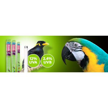 Neon pentru pasari Arcadia Bird Lamp 15W T8