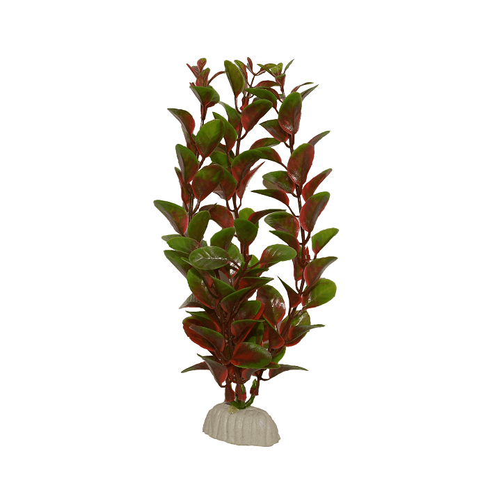 Planta plastic Red Hygrophila 20 cm ( 8 inci )