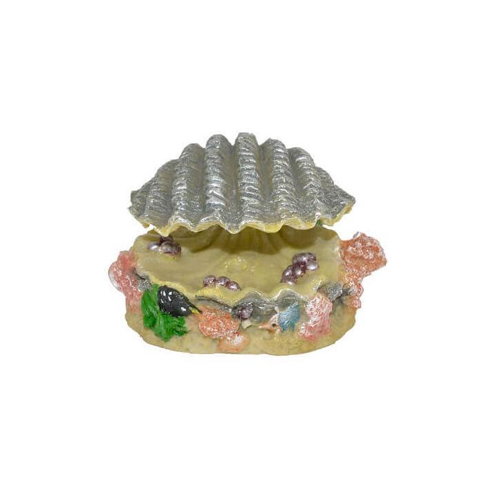 Decor acvariu scoica semideschisa Boyu 9x7x6cm