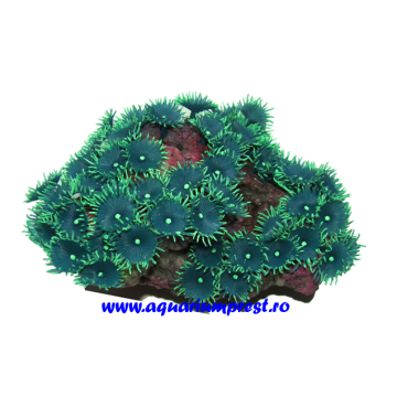 Decoratiune acvariu Y111 Palythoa XL