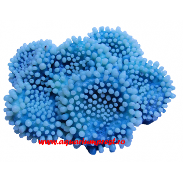Decoratiune acvariu Y67