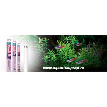 Lampa acvariu Arcadia Original Tropical Lamp T8 8W