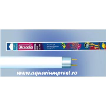 Neon acvariu Arcadia Marine Blue 420 Actinic Lamp T8 30W