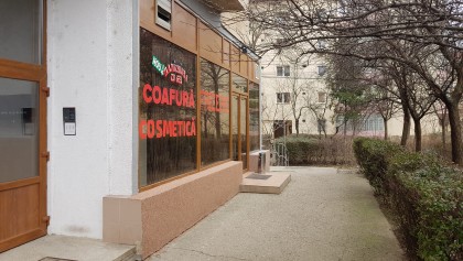 Salon Master Scissors