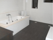 Inchirieri case / vile