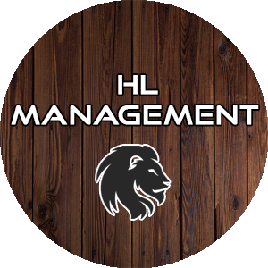 HL SMART BUSINESS CONSULTING SRL  