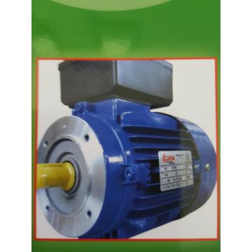 Motor electric cu rotor in scurt-circuit