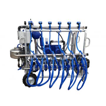 Instalatie de muls vaci 6 posturi