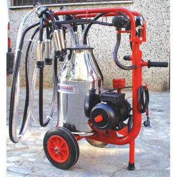 Aparat de muls vaci KM02071 inox
