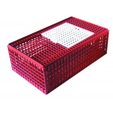 Custi transport gaini
