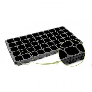 Tavi alveolare 50 celule