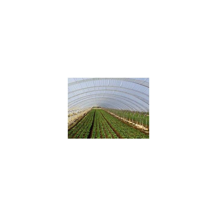 Folie solar Daios, 4.2m * 125 microni * 200m