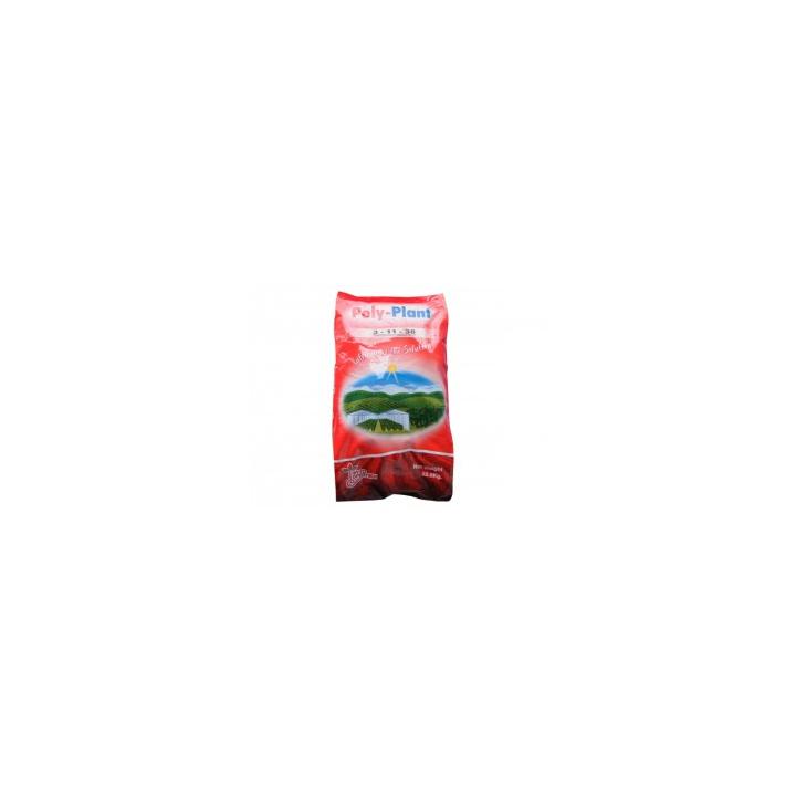 Ingrasamant Poly Plant 3.11.38 +ME 22.5Kg