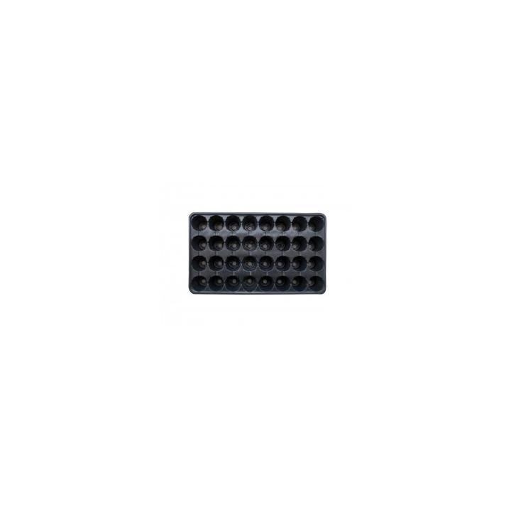 Tavite alveole 1*32