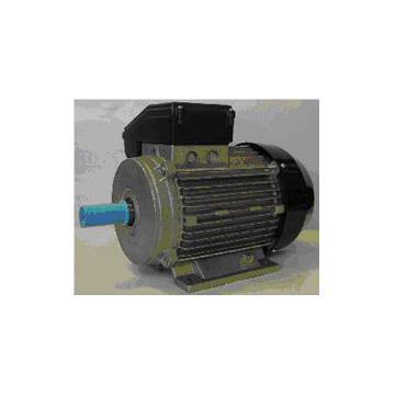 Motor electric