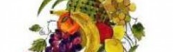 Cosul De Legume Fructe