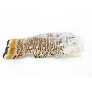 Cozi de languste 16-20 OZ