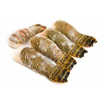 Cozi de languste congelate 12-14 OZ (330-400 gr/bucata)