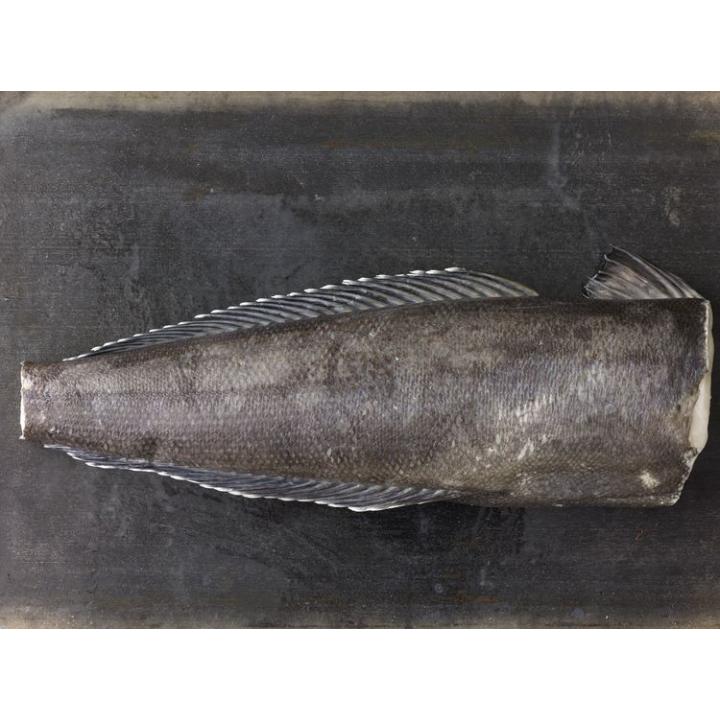 Peste Chilean Sea Bass