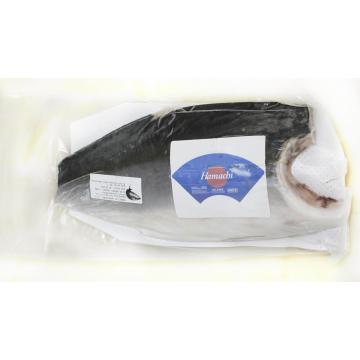 Peste File yellowtail kingfish (hamachi) congelat