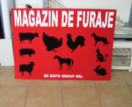Insemne nationale