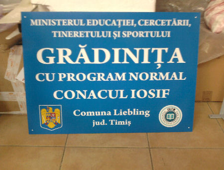 Drapele personalizate cu sigla institutiei