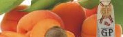 SC Chi-Ni Fruit SRL