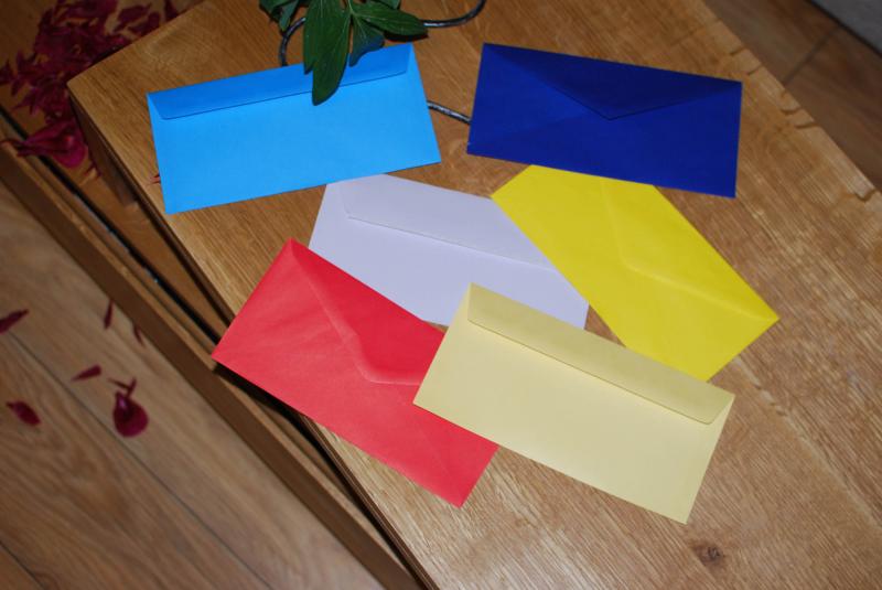 Plicuri invitatii nunta