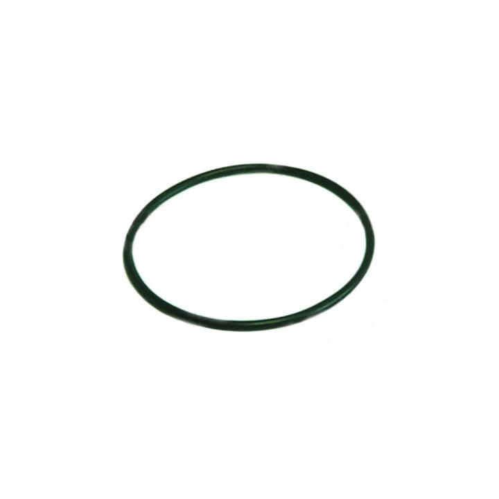 Garnitura o-ring capac pompa Askoll M231